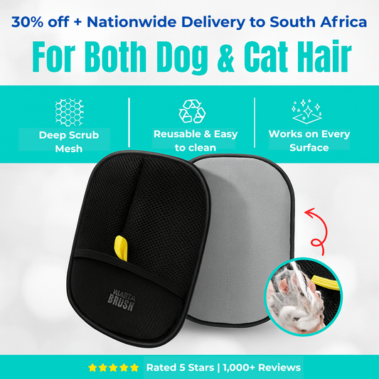 Effortlessly Remove Pet Hair in Seconds