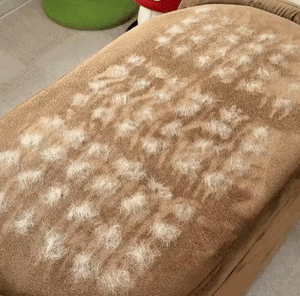 Effortlessly Remove Pet Hair in Seconds