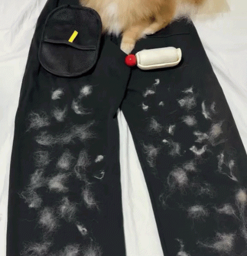 Effortlessly Remove Pet Hair in Seconds