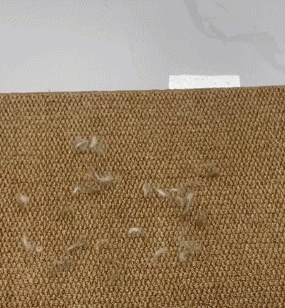 Effortlessly Remove Pet Hair in Seconds